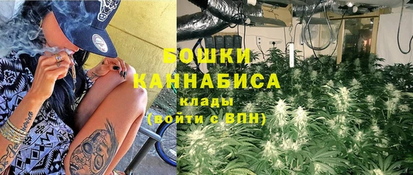 стаф Усмань