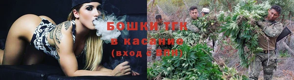 стаф Усмань